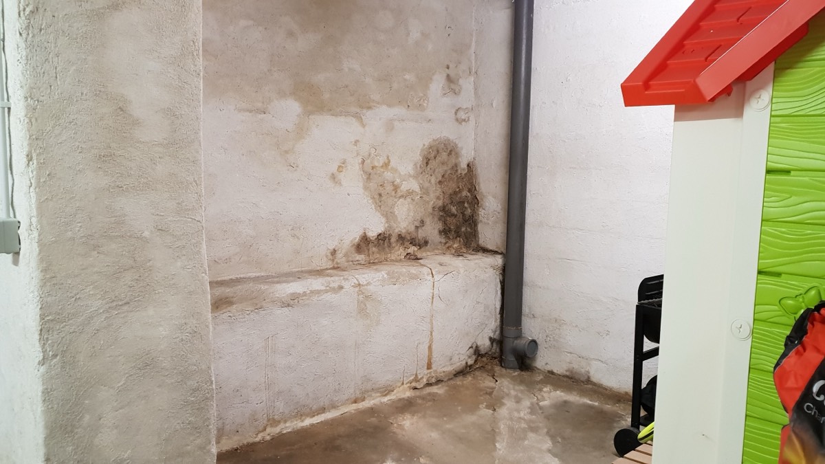 Infiltrations d'eau - Expertise humidité à Avignon
